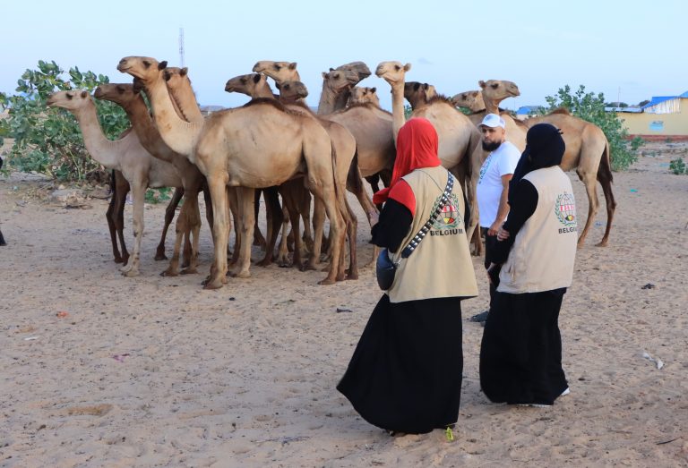 المنهل الخيرية تنفذ مشروع الأضاحي لعام 1445هـ الموافق 2024